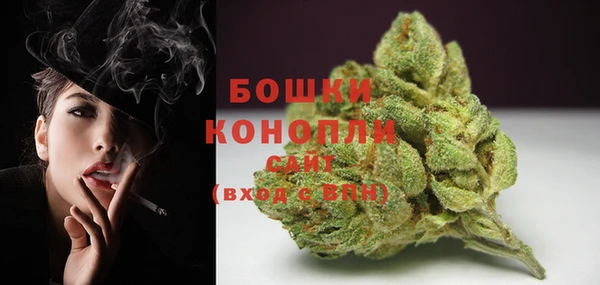 индика Вуктыл