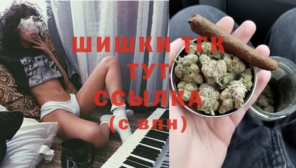 ECSTASY Гусев