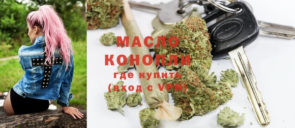 индика Вуктыл