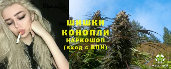 ECSTASY Гусев