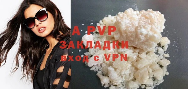 ECSTASY Гусев