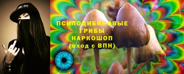 мяу мяу мука Гусиноозёрск
