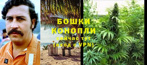ECSTASY Гусев
