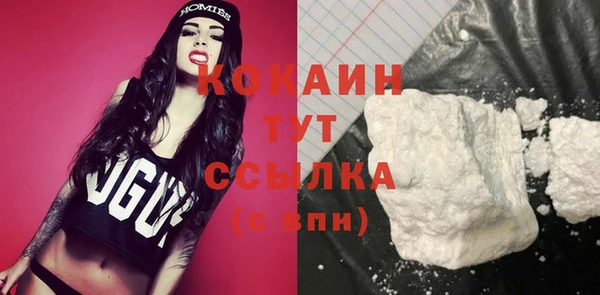 ECSTASY Гусев